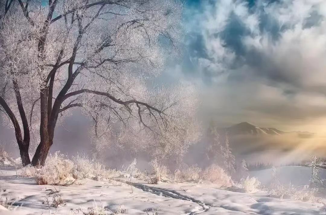 精神地圖薦讀|高彬：川南的冬雪